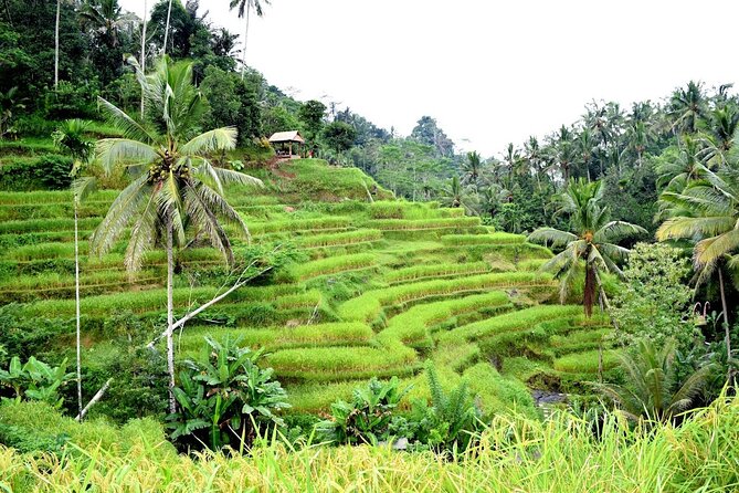 Bali Water Sports Activity and Kintamani Volcano Private Tour - Pricing and Booking Information