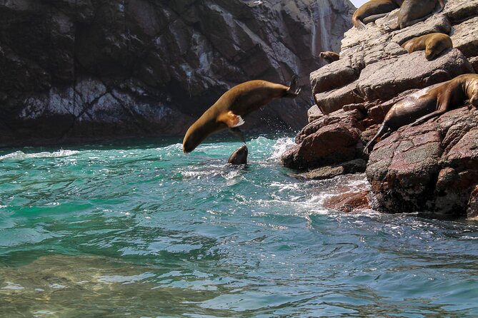 Ballestas Islands, Ica Vineyard & Huacachina - Frequently Asked Questions