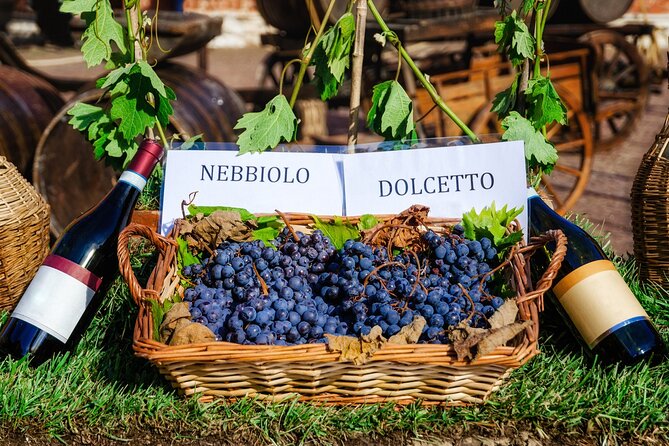 Barbaresco Wine Path: From the Old Town to the Vineyards - Directions