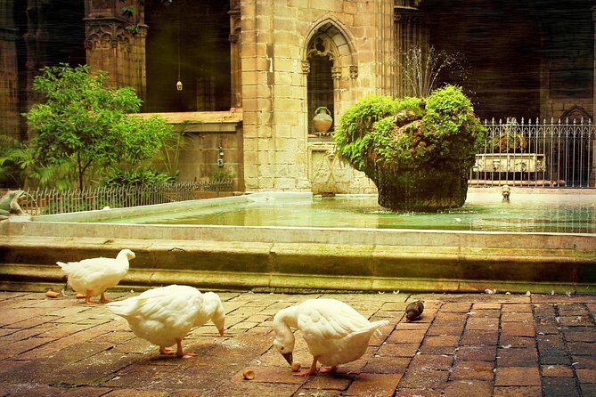 Barcelona Cathedral: Ticket, Guided Tour, Terrace + VR Experience - Booking Information and Options