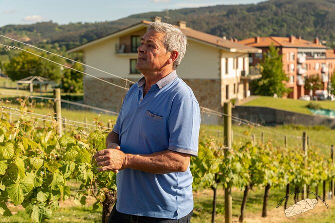 Basque Vineyard Visit: Txakoli Wine Tasting & Pintxos From Bilbao - Accessibility and Travel Considerations