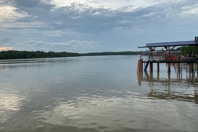 Batu Caves and Watching Fireflies in Kuala Selangor - Recommended Guides