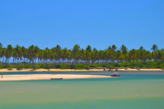 Beach Day Tour to Praia Do Forte, Get to Know the Coconut Coast - Booking Your Beach Day Tour