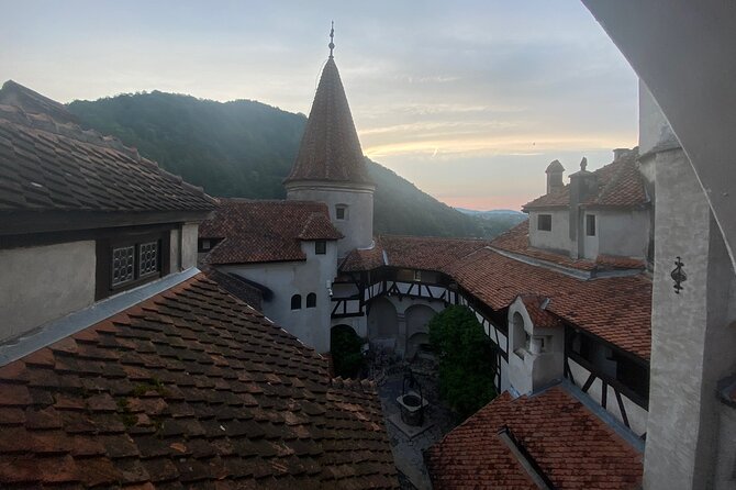 Bear Sanctuary and Bran (Draculas) Castle - Private Day Tour - Pricing and Booking