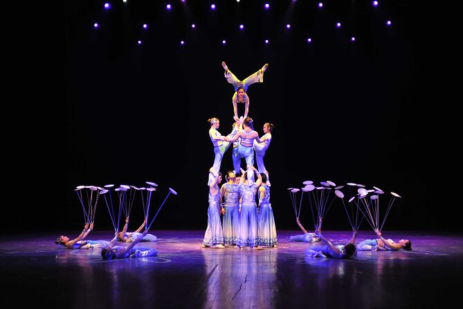 Beijing Night Tour Including Acrobatics Show and Peking Duck Dinner - Show & Dinner Experience
