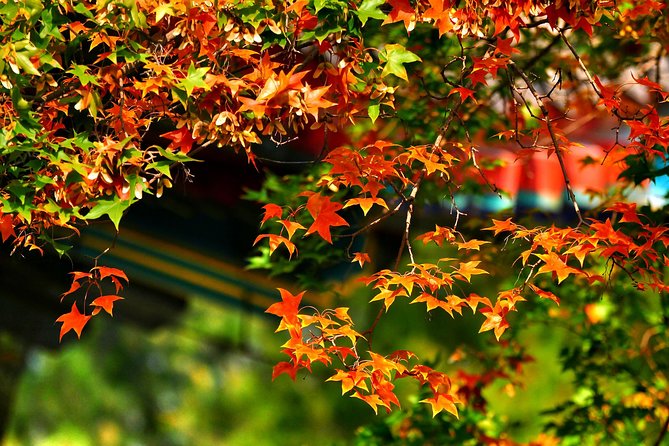 Beijing Private Tour to Summer Palace and Fragrant Hill With Cable Car Ride - Best Time to Visit Fragrant Hill