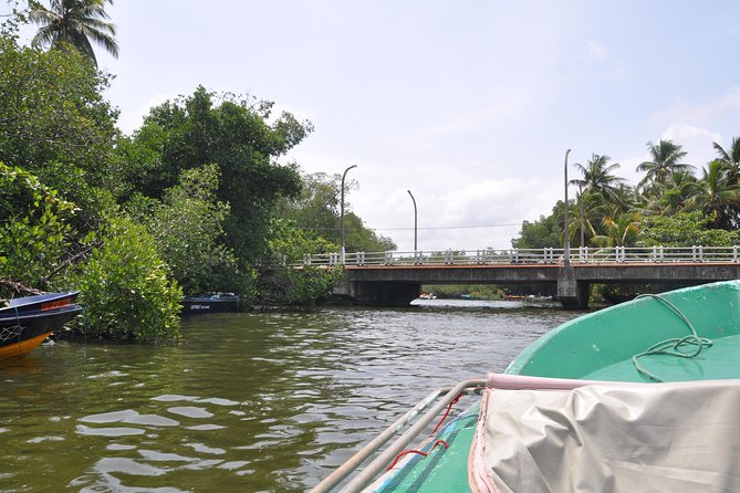 Bentota City Tour From Negombo - Additional Information