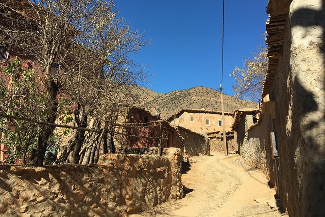 Berber Villages, Camel Ride & Tinmal Mosque Day Trip - Cancellation Policy