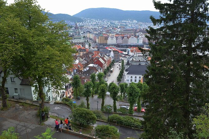Bergen City 90-minute Private Tour by Electric Car - Accessibility Information