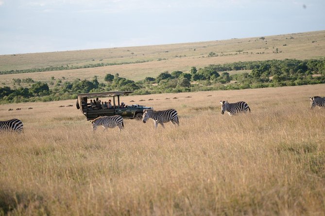 Best 7 Days Kenya Adventure Wildlife Safari - Day 3: Lake Nakuru National Park