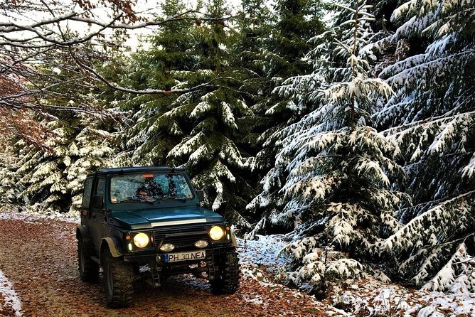 Best JEEP SAFARI Trip, Adventure, Wild Romania, Old Villages and Food. - Distance: One Hour and Half From Bucharest