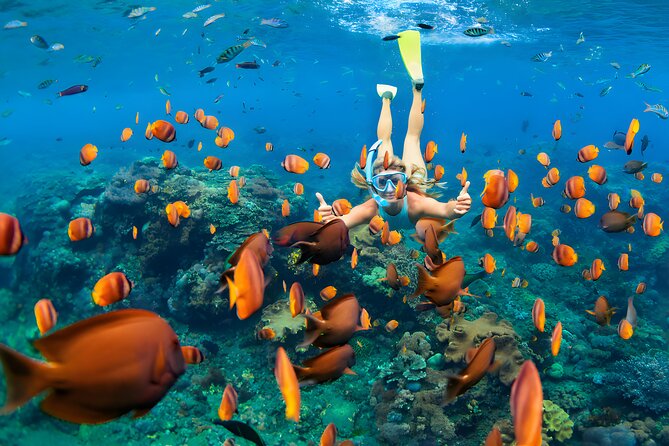 Best of Nusa Penida Snorkeling: Manta Bay, Wall Point & Gamat Bay - Wall Point Snorkeling Highlights
