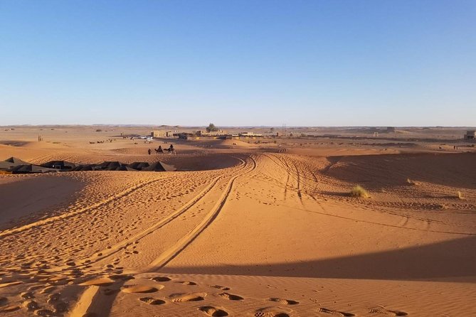 Best Shared Group Tour From Fes to Fes Sahara 2 Days/1 Night - Operator Information