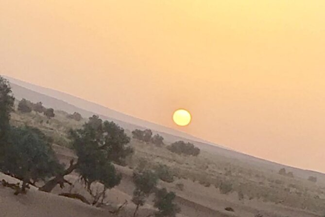 Best Tour in Morocco 9days From Casablanca - Tour Guide and Local Guides