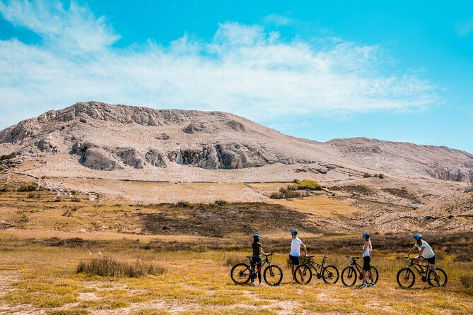 Bike Rental