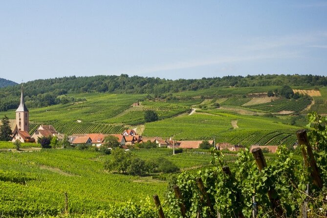 Bike Ride on the Wine Route From Sélestat - Booking Information