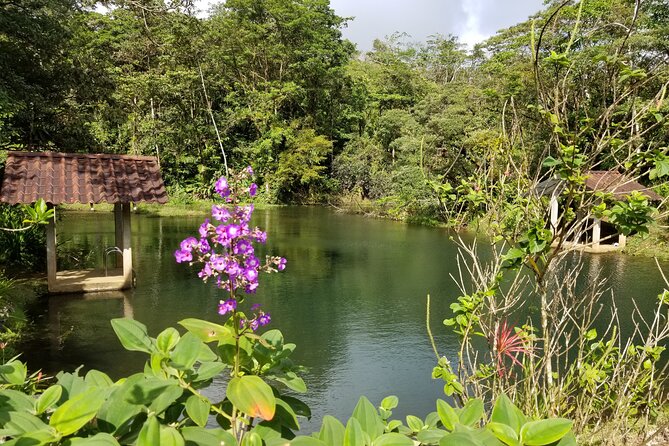 Bird-Watching and Wildlife Tour - Customer Reviews