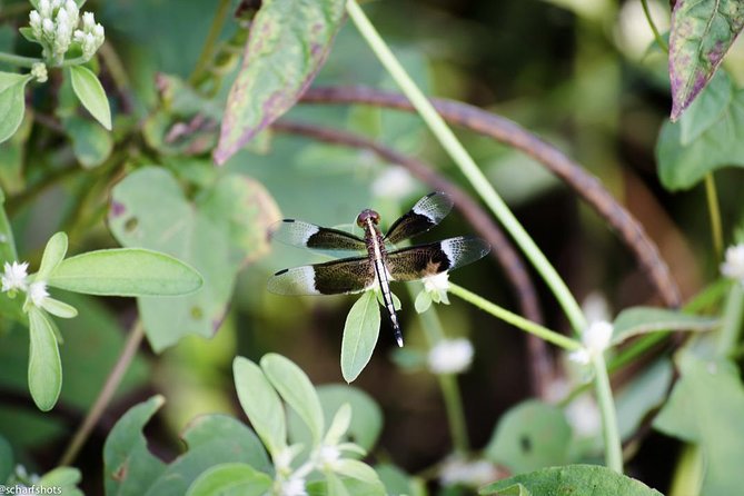 Birdwatching and Nature Walk of South Goa - Meeting Point Details