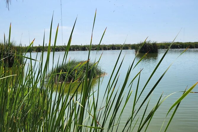 Birdwatching and Trekking in Lima City - Customer Reviews and Testimonials