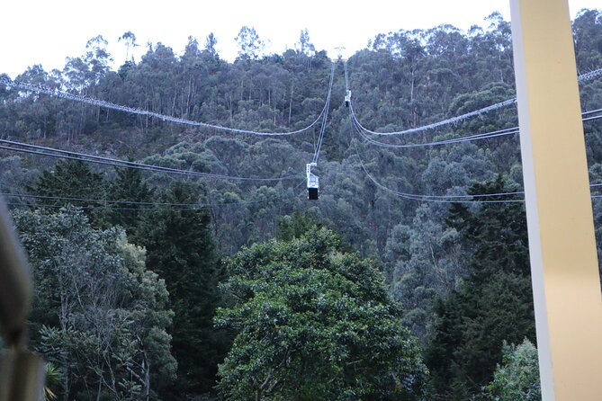 Birdwatching at Monserrate Bogotá 4H - Directions and Logistics