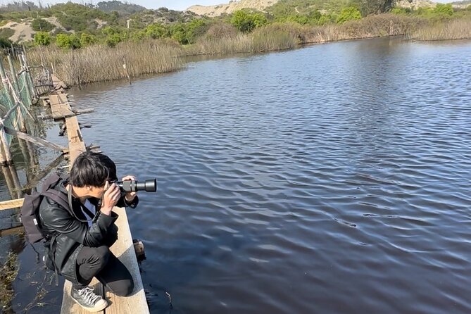 BirdWatching Mantagua Wetland&Penguins Cachagua Island From Valpo