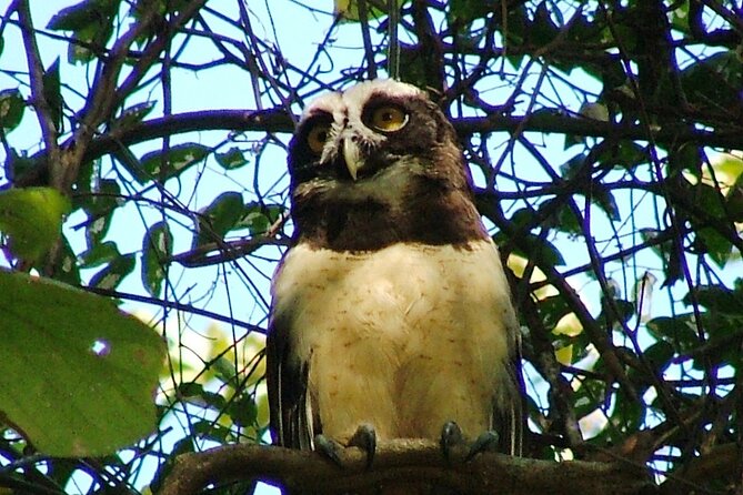 Birdwatching Tour - The Sum Up