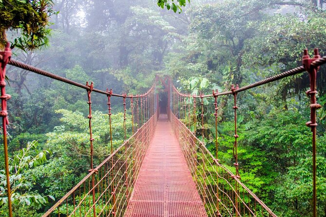 Birdwatching Tour at Mistico Arenal Hanging Bridges Park From Guanacaste - Tour Highlights