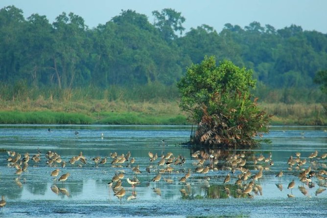 Birdwatching Walk in Thalangama Wetland From Colombo - Directions