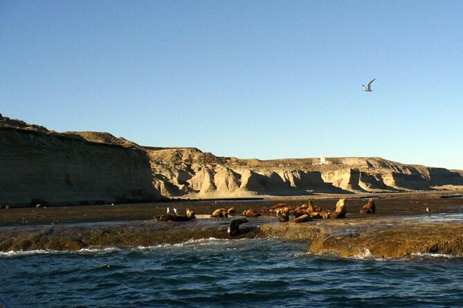 Blest Port and Cantaros Waterfalls With Frias Lake Tour - Reviews and Ratings