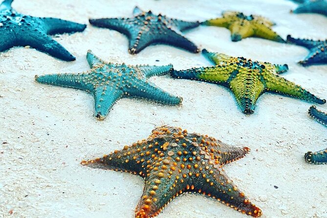 Blue Lagoon Snorkeling; Starfish Adventure; The Rock; Paje Beach; Kuza Cave Tour - Booking Details