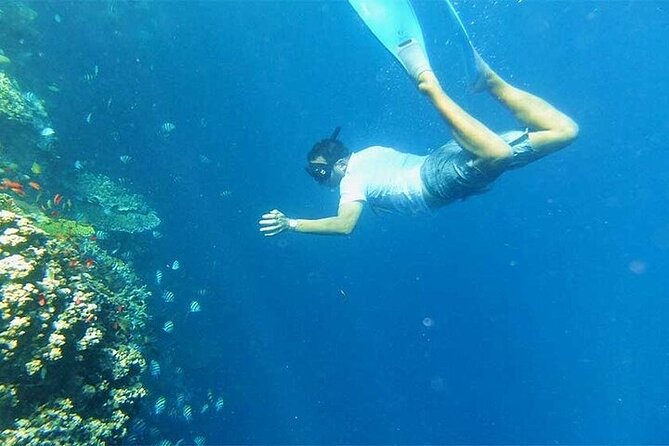 Blue Lagoon Snorkeling With Lunch and Private Transport - Additional Considerations