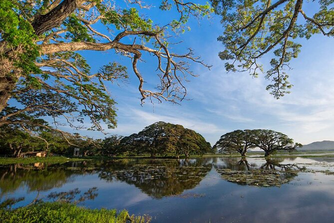 Boat Tour in Tissamaharama Lake - Cancellation Policy Overview