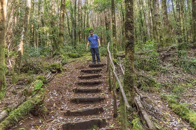 Bosque Piedra Reserve Tour