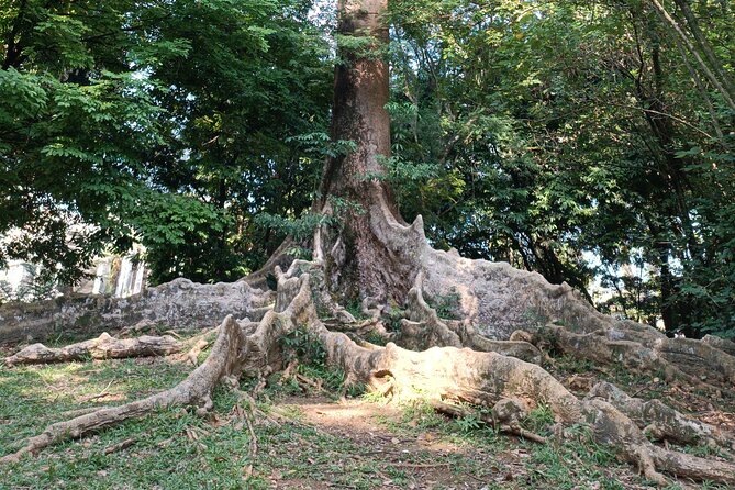 Botanical Garden And Miniature Park Of Indonesia Tour - Pricing and Reservation