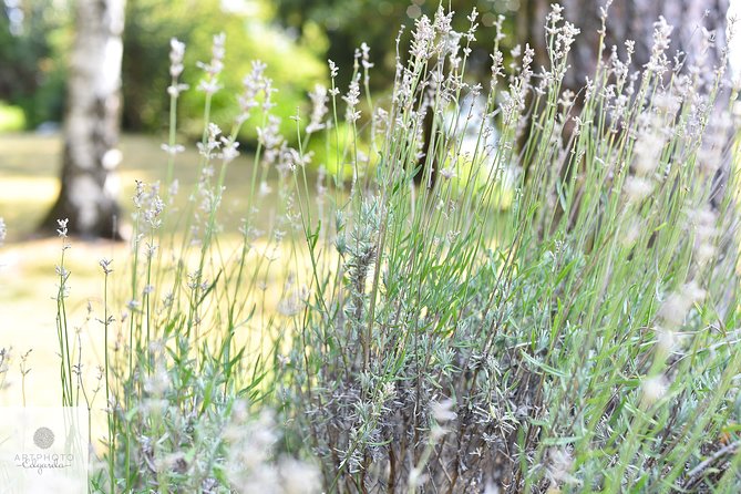Botanical Photo Tour in Parco San Grato Lugano With Contest - Inclusions and Meeting Information