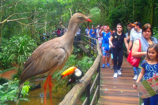 Brazilian Side Falls: Brazilian Falls Tour With Parque Das Aves: - Frequently Asked Questions