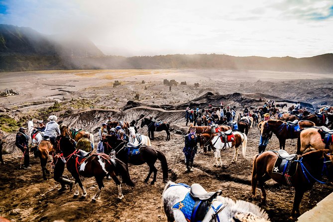 Bromo Midnight Walking - What To Expect