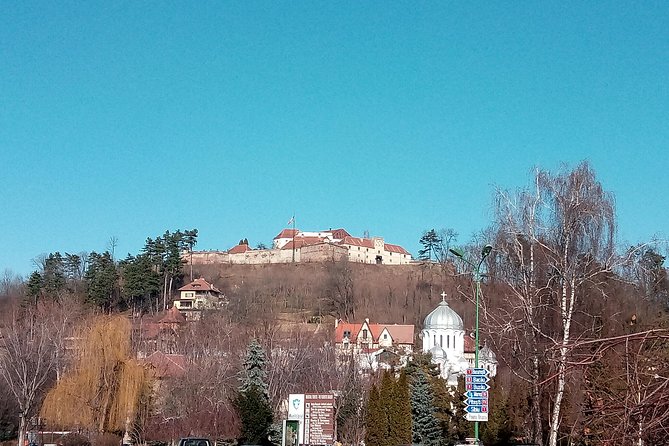 Bucharest Otopeni Airport to Brasov Private Transfer - Accessibility and Restrictions