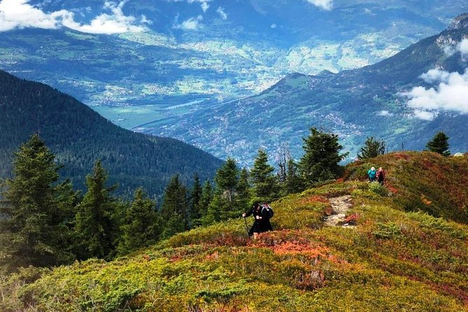 Budget Day Tour of Atlas the Mountains From Marrakech - Pricing Details