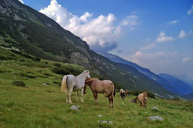 Bulgarian Wine, Nature & Culture in 8 Days - Discovering Bulgarian Cuisine