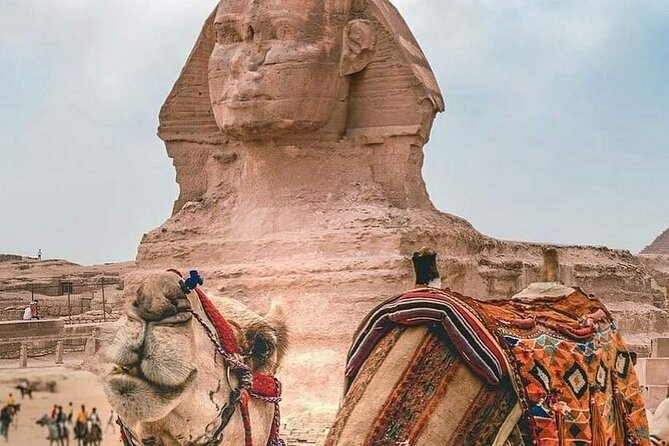 Cairo Layover Tour to Pyramids & Museum - Additional Information