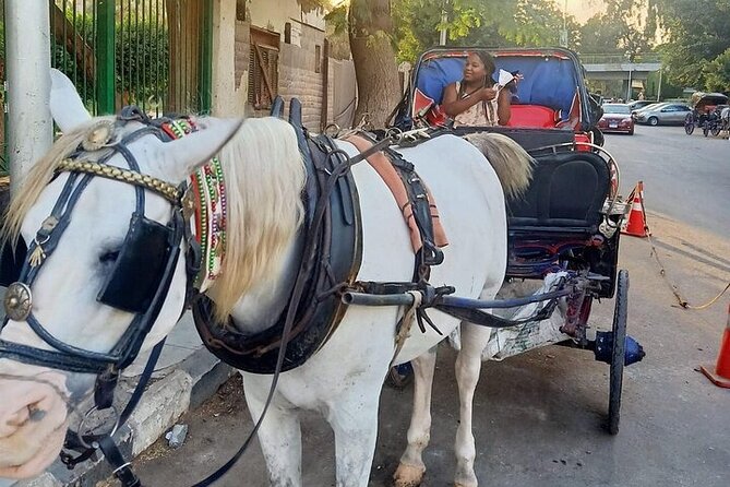 Cairo Private City Tour With Felucca and Carriage Ride With Meal - Pricing Information