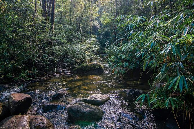 Cambodia Camping & Trekking Tour 3 Night 4 Day - Pricing Information