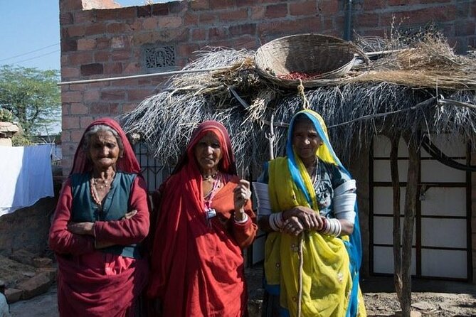 Camel Safari Day Trip From Jodhpur - Accessibility Information