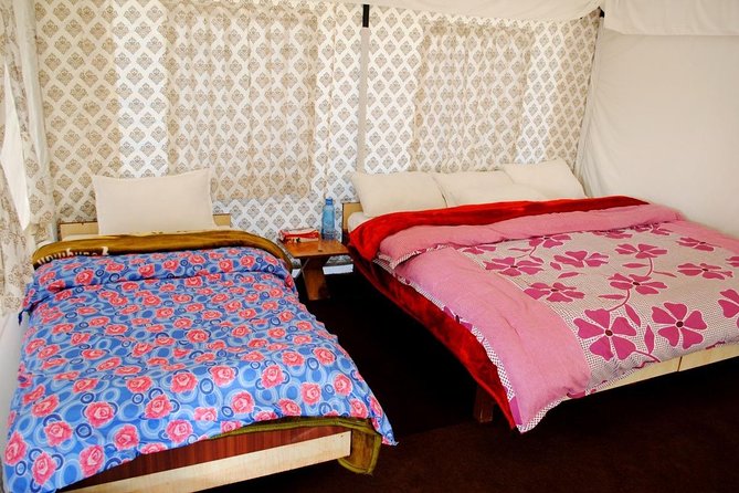 Camping in Bir Biling With Swiss Tent Stay - Exclusions