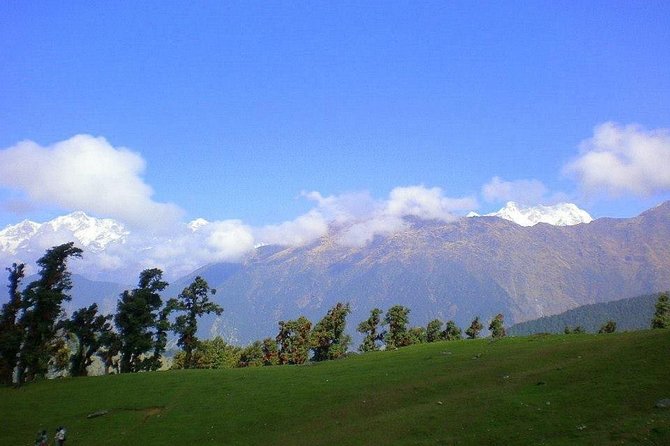 Camping in Chopta - 1 Night - Additional Information for Participants