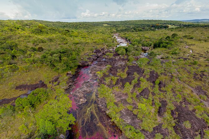 Caño Cristales Private 3-Day Trekking Tour From Bogota - Pickup Locations and Details