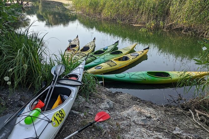Canoe Trip With BBQ on Danube - Meeting Point