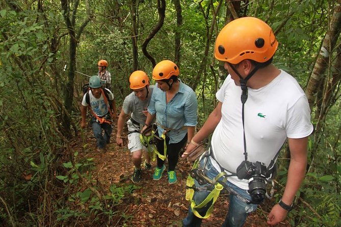 Canopy in the Jungle - Private Tour With Local Guides