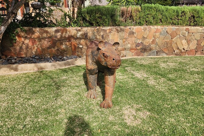 Cape Town Aquila Big Five Safari With Park Fees Transport, Lunch - The Sum Up